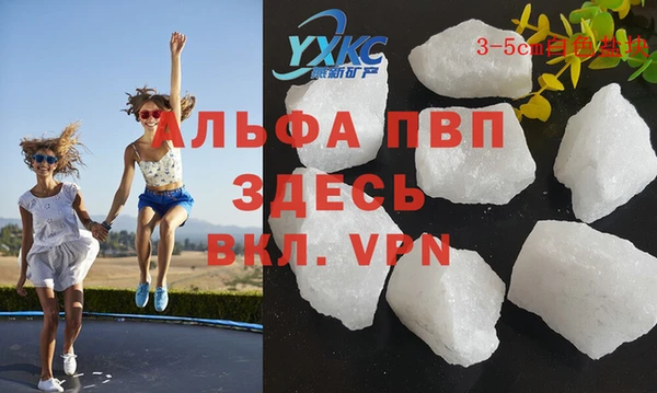 дмт Алексин