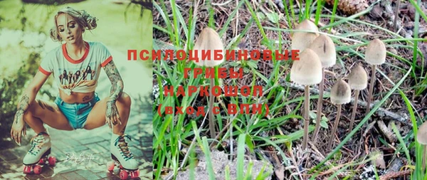 дмт Алексин