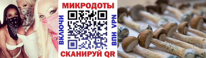 продажа наркотиков Юрьевец Галлюциногенные грибы мухоморы